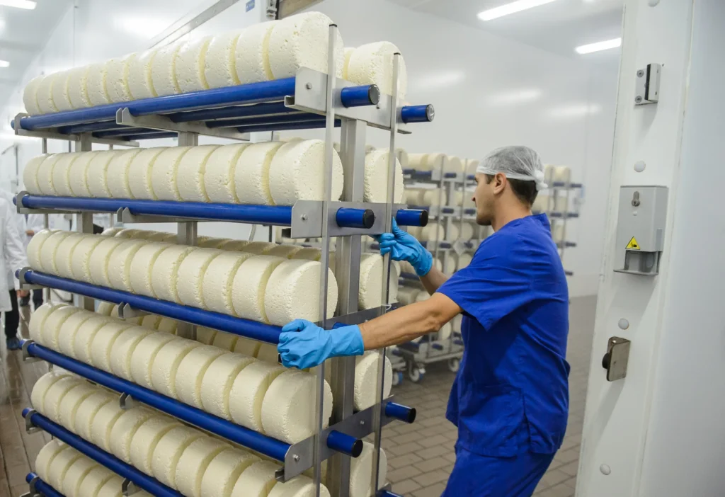 Системы холодоснабжения для ООО «Бобровский сыродельный завод». Обложка